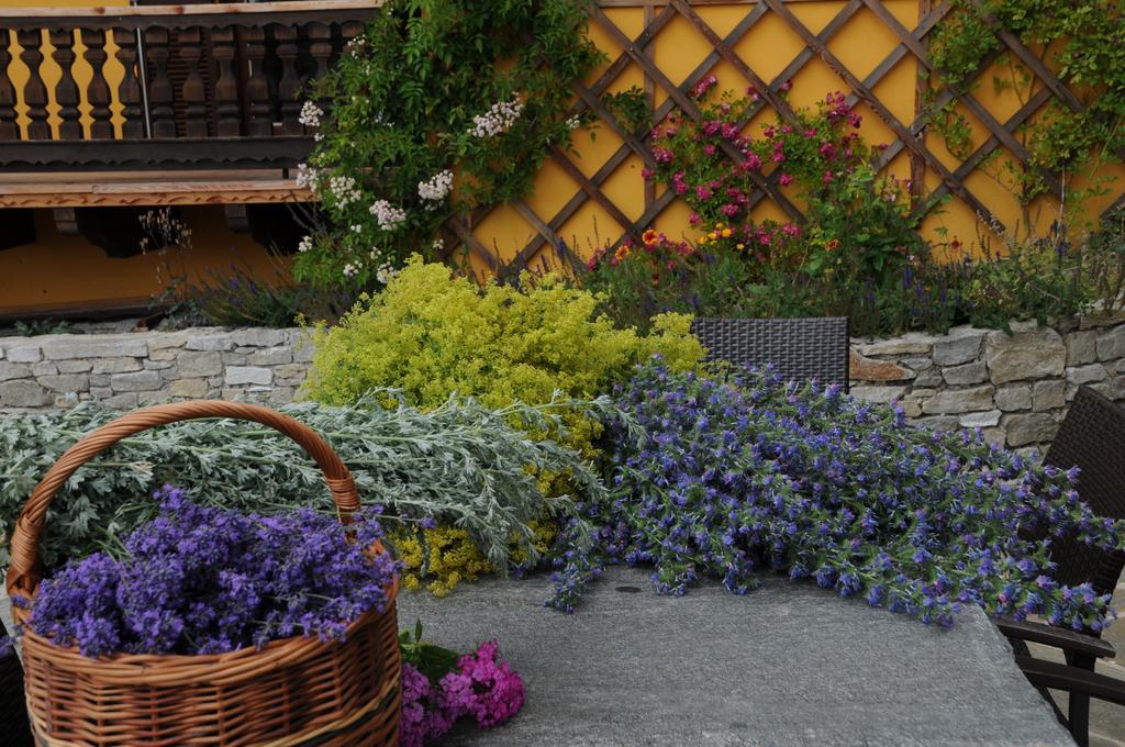 Sulamith Ferienhaus Mit Garten Sankt Kathrein am Offenegg Eksteriør billede