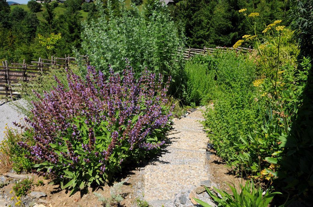 Sulamith Ferienhaus Mit Garten Sankt Kathrein am Offenegg Eksteriør billede