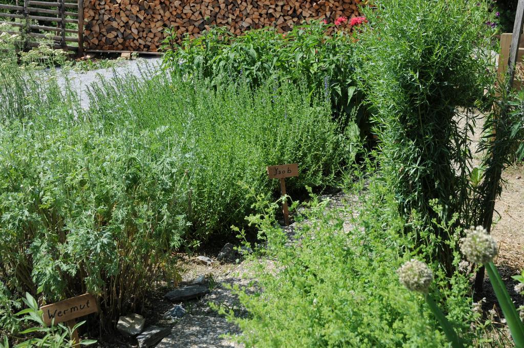 Sulamith Ferienhaus Mit Garten Sankt Kathrein am Offenegg Eksteriør billede